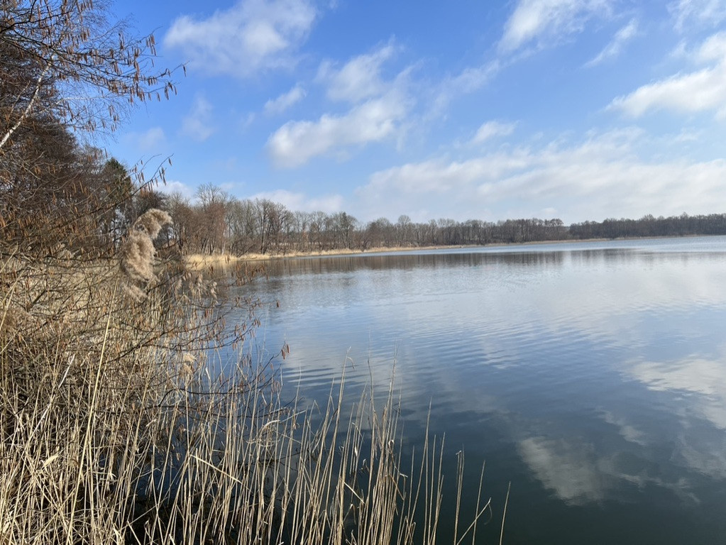 Działka Sprzedaż Choszczno