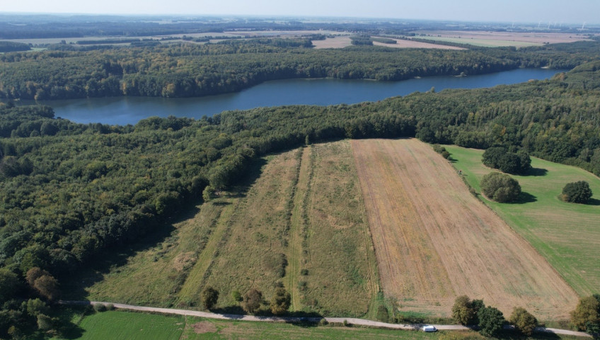 Działka Sprzedaż Dargocice