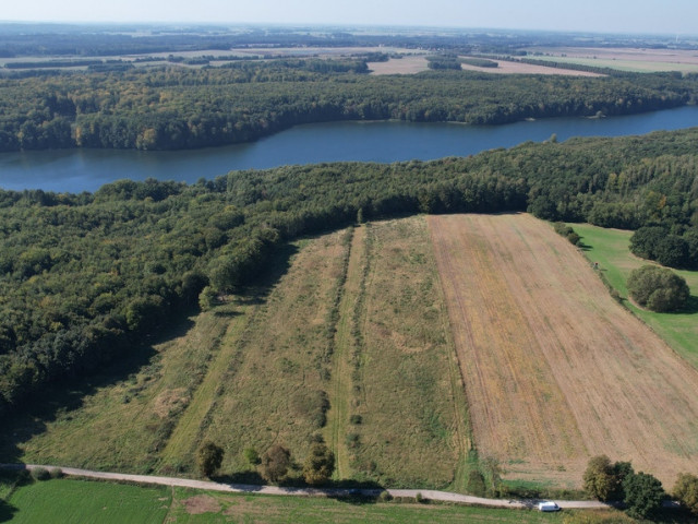 Działka Sprzedaż Dargocice