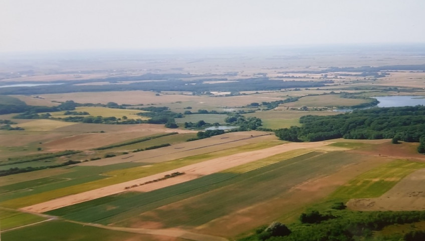 Działka Sprzedaż Kołowo