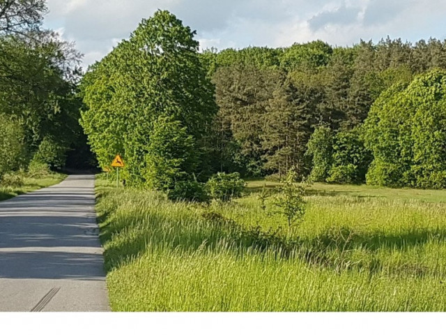 Działki budowlane nad jeziorem, przy lesie!!!