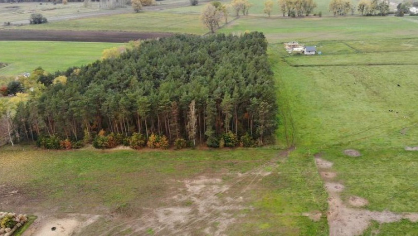 Działka Sprzedaż Borzysławiec