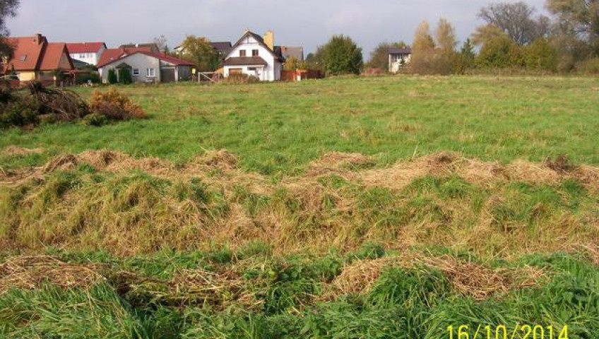 Działka Sprzedaż Choszczno