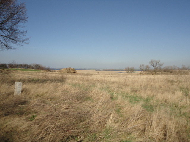 Turze, z pięknym widokiem na jezioro Miedwie