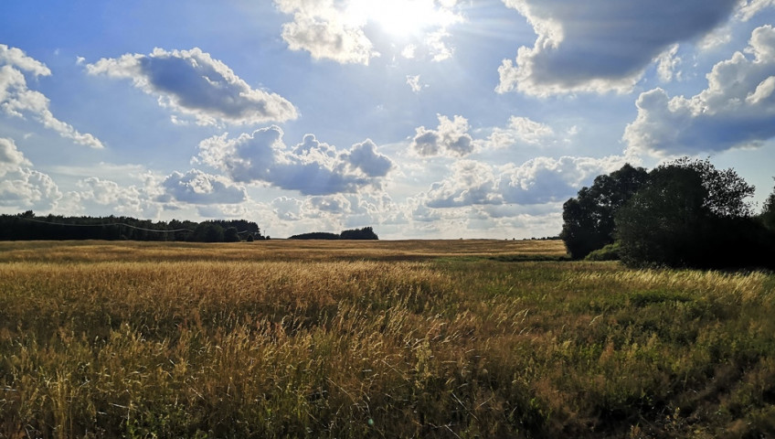 Działka Sprzedaż Wąwelnica