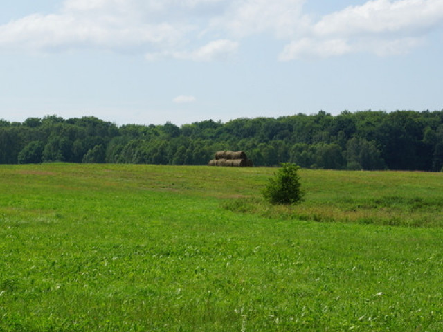 Działka Sprzedaż - Bobolice