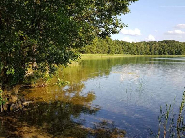 Piękna działka pomiędzy stawem a lasem