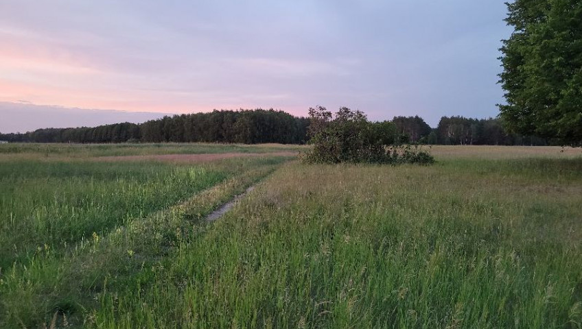 Działka Sprzedaż Lubczyna