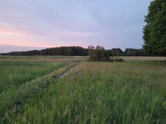 Działka Sprzedaż Lubczyna