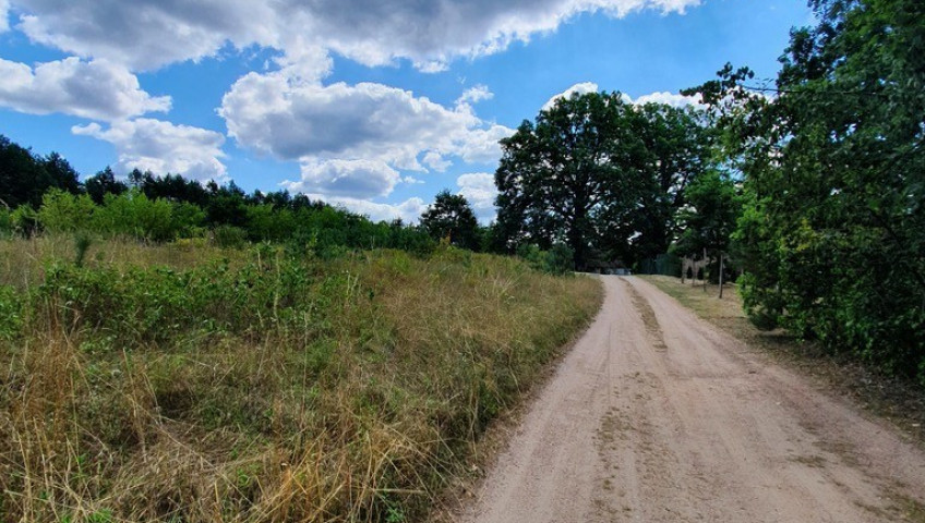 Działka Sprzedaż Stare Osieczno