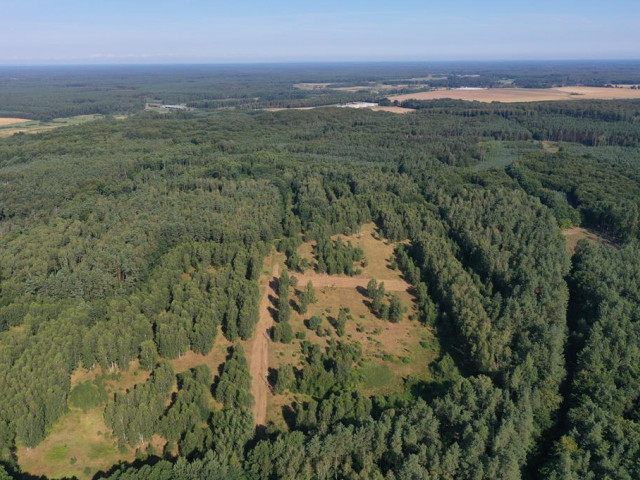 Działki budowlane w otulinie lasu