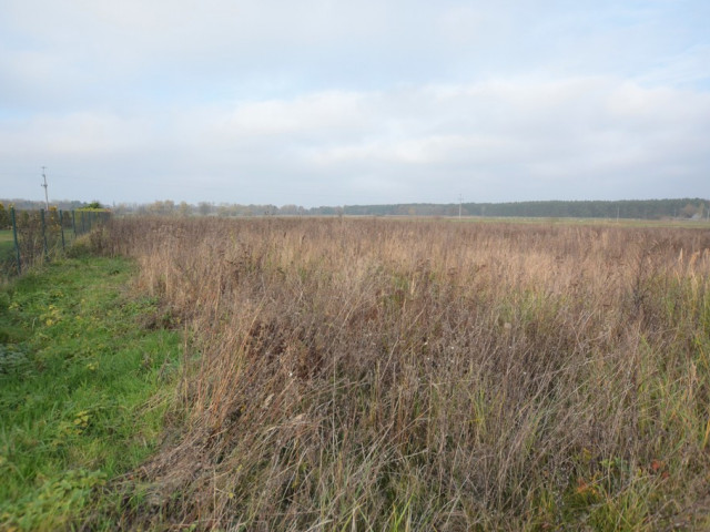 Wołczkowo działka na sprzedaż 1500m2