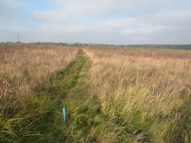 Wołczkowo działka na sprzedaż z warunkami  3003m2