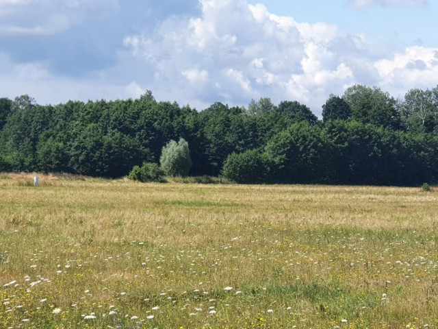 Działka Sprzedaż - Szczecin Skolwin