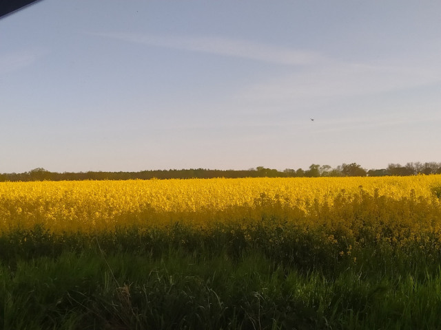 Bielkowo działka w drugiej linii zabudowy