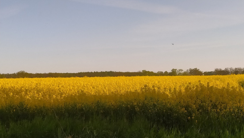 Działka Sprzedaż Bielkowo Zbożowa