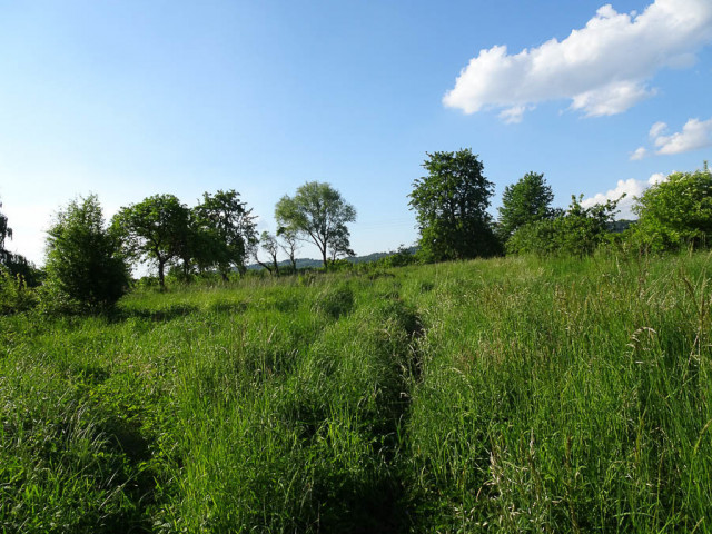 Binowo działka blisko jeziora, 1962 m2 150 zł/m2