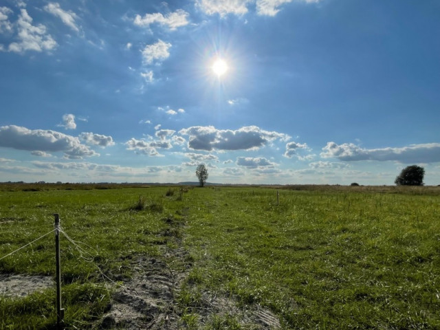 Działka Sprzedaż - Wierzbno