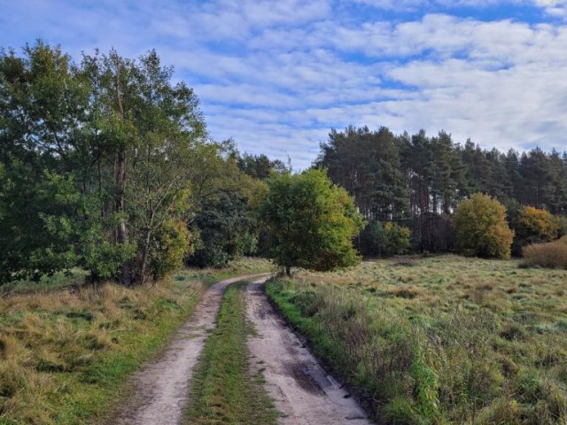 Warnowo Działka z planem zagospodarowania