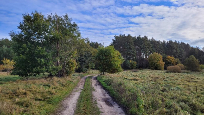 Działka Sprzedaż Warnowo