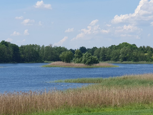 Działka Sprzedaż - Zieleniewo