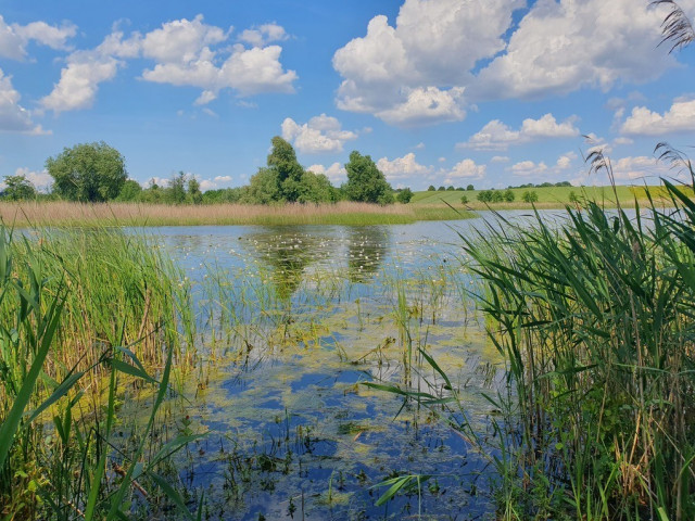 Działka Sprzedaż - Zieleniewo