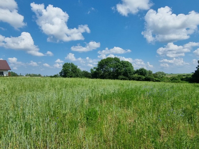 Działka, ładny widok, na wzniesieniu, Barnisław !!