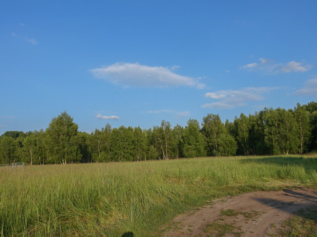 Grzepnica działka 3026 m2, media, 150 zł/m2