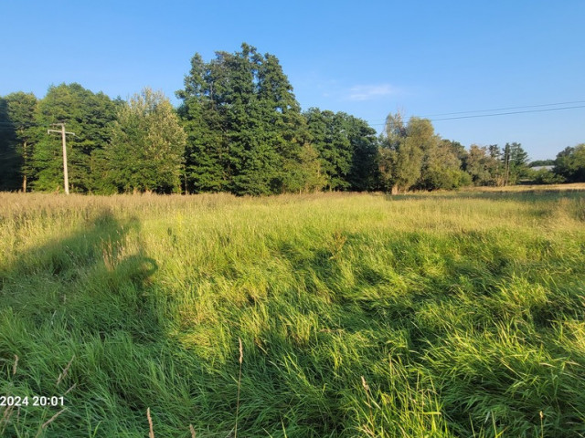 Działka Sprzedaż - Sierakowo