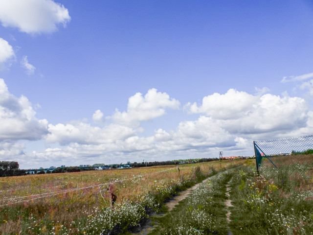 Działka dla dewelopera lub inwestora DWZ 11,19 ha