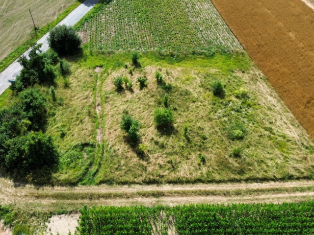 Nieborowo | 1801m2 | działka z WZ !! OBNIŻKA!